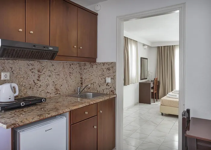 公寓式酒店 艾琳娜一室公寓及套房酒店 奥诺斯