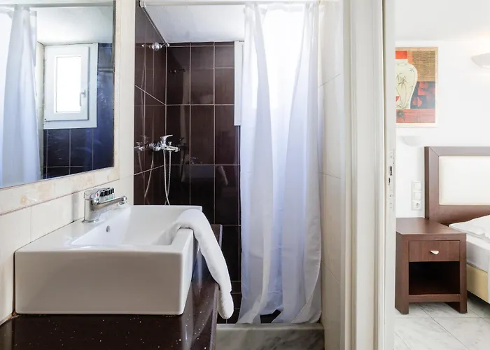 艾琳娜一室公寓及套房酒店